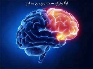 عملکرد اجرایی مغز