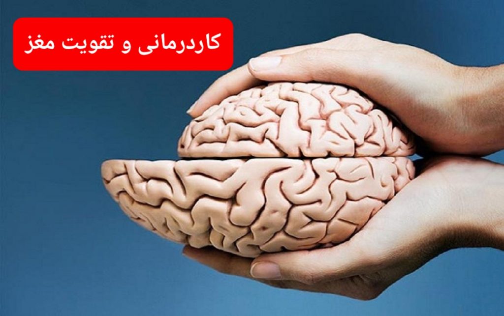 تقویت مغز برای درس خواندن