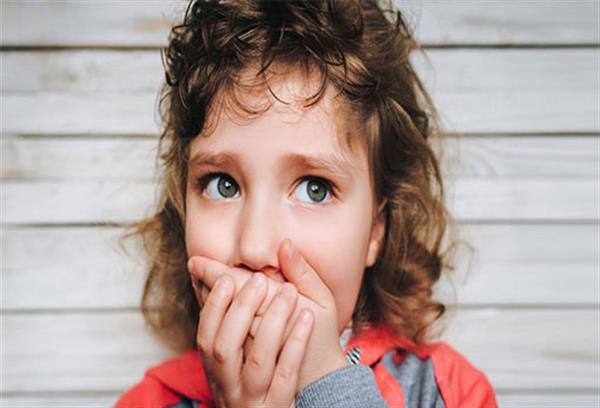 لالی انتخابی